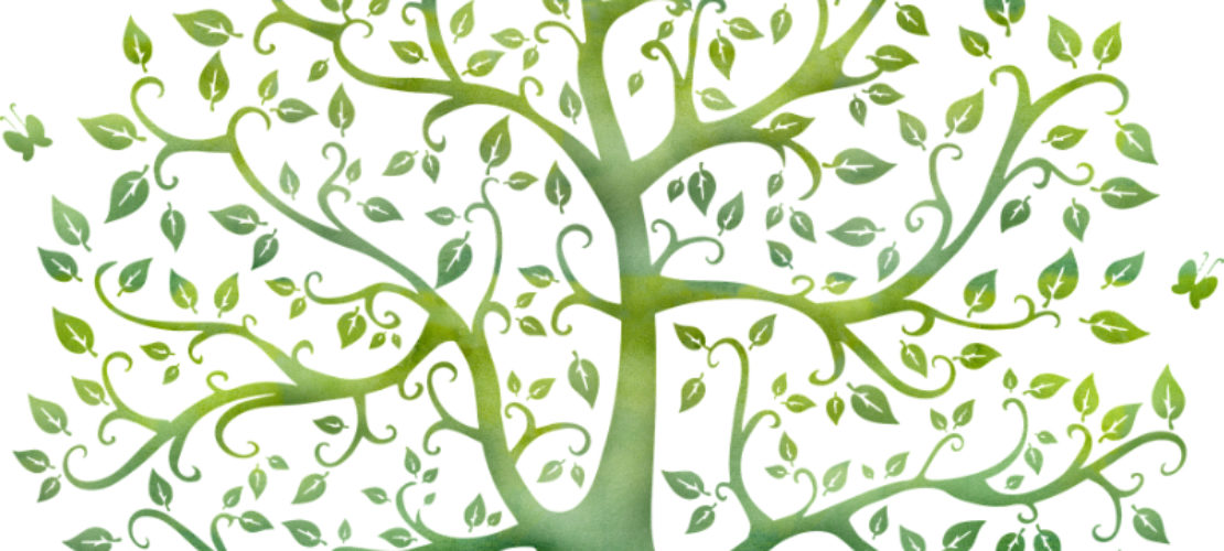 Atelier d’écriture en écospiritualité. La vie à travers moi